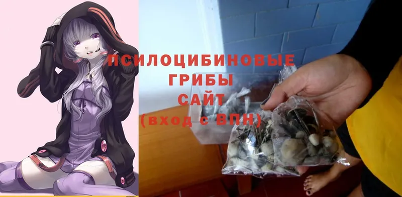 Галлюциногенные грибы MAGIC MUSHROOMS  купить наркотик  ОМГ ОМГ как войти  Белоусово 